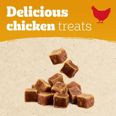 Text reads 'Delicious chicken treats' with image of brown cube-shaped treats and a chicken silhouette.