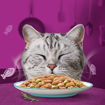 Cat with closed eyes behind a plate of wet food in gravy with green peas, suggesting enjoyment of the meal. Decorative fish icons and kitchen utensils in the background.