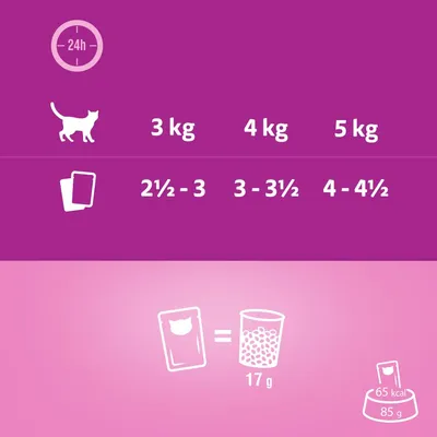 Feeding guide showing daily portions by cat weight: 3kg needs 2½–3 pouches, 4kg needs 3–3½, 5kg needs 4–4½. One pouch equals 17g dry food or 65 kcal per 85g pouch.