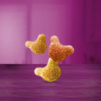 Three pieces of dry pet food in different shades of brown displayed on a purple surface.