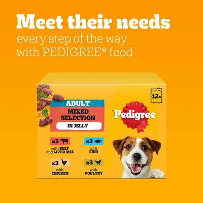 Pedigree Adult Mixed Selection in Jelly, 12 pack: 3 with beef and liver mix, 3 with fish, 3 with chicken, 3 with poultry. Text: Meet their needs every step of the way.