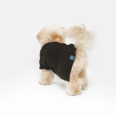 Petit chien à poil long portant un pull noir en maille avec étiquette bleue visible sur le côté. Pull avec motif torsadé, matière textile apparente.
