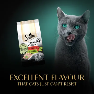 Sheba Fresh Cuisine, Taste of Rome, 2x turkey pomodore, 4x chicken alla carbonara, 6x 50g. Κείμενο στα αγγλικά: EXCELLENT FLAVOUR THAT CATS JUST CAN’T RESIST.