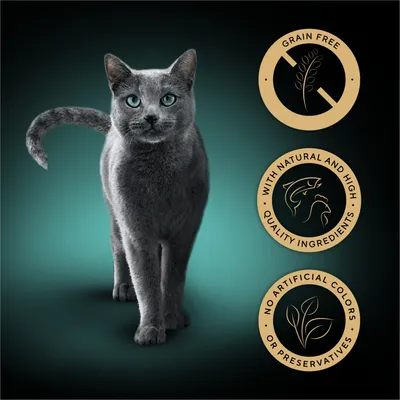 Three product features: grain free, with natural and high quality ingredients, and no artificial colours or preservatives, shown beside a grey cat.