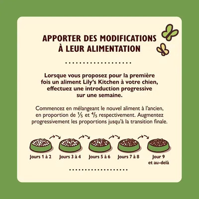 Conseils de transition alimentaire Lily’s Kitchen : mélange progressif du nouvel aliment sur 9 jours, proportions illustrées pour chaque étape, texte explicatif inclus.