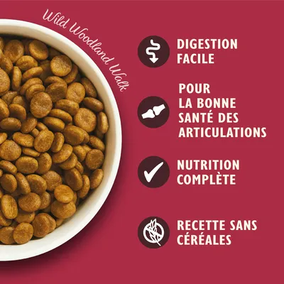 Wild Woodland Walk, digestion facile, pour la bonne santé des articulations, nutrition complète, recette sans céréales. Croquettes visibles dans un bol blanc.