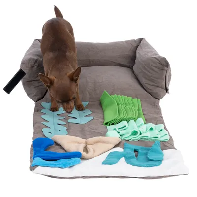Brown dog examines a grey snuffle mat with green, blue and beige fabric elements in various shapes.