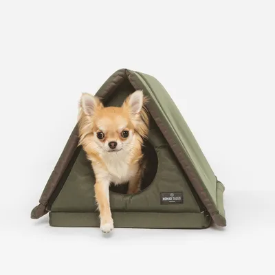 Tienda para mascotas verde con detalles marrones, marca Nomad Tales. Perro pequeño saliendo de la entrada de la tienda.
