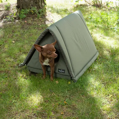 Tienda verde para mascotas con el logo de Nomad Tales, colocada en un prado.