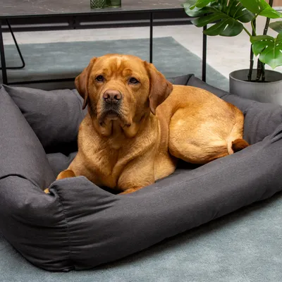 Panier Karlie Charly