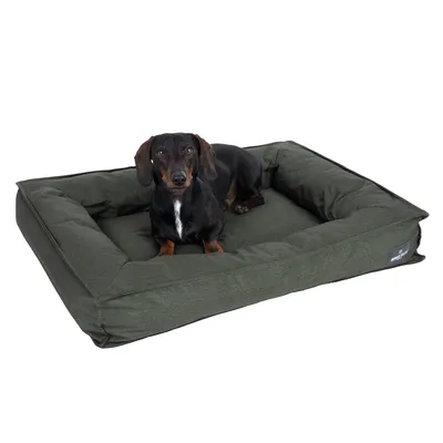 Hund liegt auf einem rechteckigen, olivgrünen Hundebett mit erhöhtem Rand. Markenlogo 'Mala' sichtbar an der Seite.
