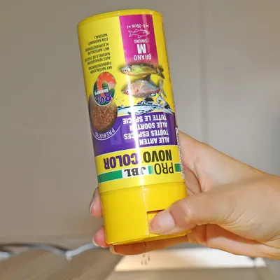 Ręka trzyma puszkę JBL Pro Novo Color, pokarm dla ryb ozdobnych. Widoczne: granulat, probiotyczny, rozmiar M, 8-20 cm, wspiera intensywność kolorów.