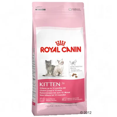 ROYAL CANIN KITTEN 36, pienso para gatitos hasta 12 meses. Texto visible: Ultra Digestive Health, Natural Defences, Reduces faecal smell. Imagen de dos gatitos y croquetas.