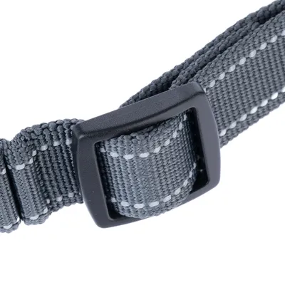 Collare grigio regolabile in nylon resistente con cuciture rifrangenti e fibbia in plastica nera.