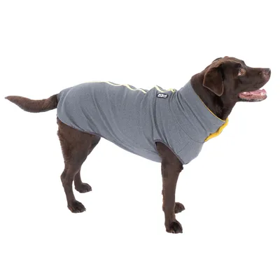 Chien marron portant un manteau gris avec détails jaunes et étiquette visible DFD sur le dos. Le matériau du manteau semble être en tissu.