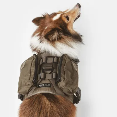 Nomad Tales Hundegeschirr mit Taschen und Schnallen, braune Farbe, getragen von einem Hund. Sichtbare Markenaufschrift: Nomad Tales.
