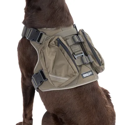 Nomad Tales Hundegeschirr mit Taschen, Reissverschlüssen und Schnallen in Khaki. Sichtbar an braunem Hund getragen.