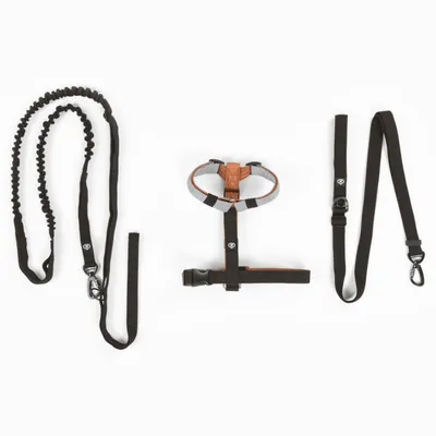 Set aus schwarzem Geschirr und zwei Leinen mit Karabinerhaken, geeignet für Haustiere. Sichtbare Materialien: Nylon und Metall.