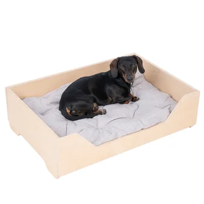 Hundebett aus hellem Holz mit grauem, gepolstertem Kissen. Schwarzer Hund liegt entspannt im Bett.