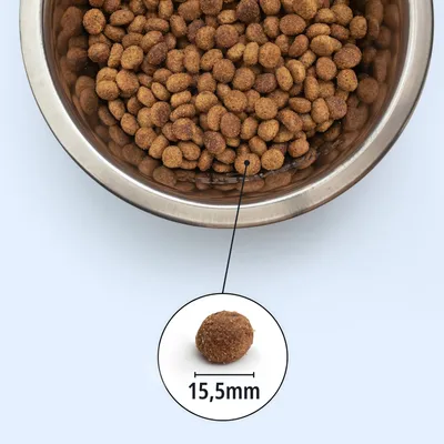 Croquettes dans une gamelle en acier inoxydable, une croquette mise en avant avec indication du diamètre, 15,5 mm. Croquettes dans une gamelle en acier inoxydable, une croquette mise en avant avec indication du diamètre, 15,5 mm.