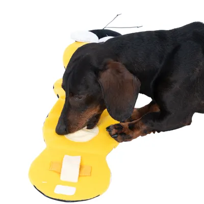 Hund leger med gult plyslegetøj, der har forskellige interaktive elementer såsom lommer og velcrolukninger.