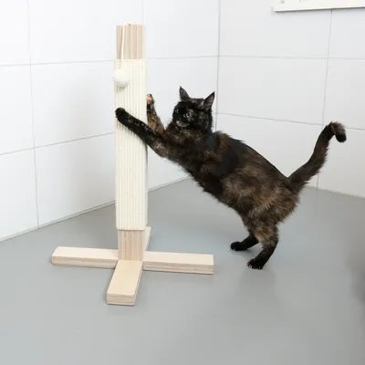 Krabbelpaal van hout omwikkeld met sisal, inclusief hangende bal. Kat toont gebruik door te krabben aan de paal.