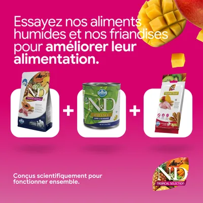 N&D Tropical Selection croquettes, N&D Prime nourriture humide et Dental Treat. Développé scientifiquement pour une nutrition optimale. N&D Tropical Selection croquettes, N&D Prime nourriture humide et Dental Treat. Développé scientifiquement pour une nutrition optimale.