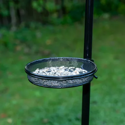Runde schwarze Futterschale aus Metallnetz, gefüllt mit Sonnenblumenkernen, befestigt an einem schwarzen Ständer im Garten.