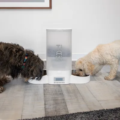 Automatischer Futterspender Tiaki mit zwei Futterschalen, digitale Anzeige und Hunden beim Fressen. Behälter gefüllt mit Trockenfutter.