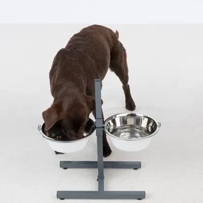 Brauner Hund frisst aus einer höhenverstellbaren Doppelnapfstation mit zwei Edelstahl-Näpfen, einer für Futter und einer für Wasser.