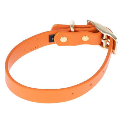 Orangefarbenes Hundehalsband mit goldfarbener Schnalle und Nieten, verstellbar mit mehreren Löchern.