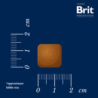 Brit Premium By Nature Sensitive, jagnięcina