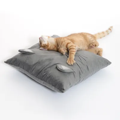 Graues Kissen mit dekorativen Ohren und Katzengesicht-Design, darauf liegt eine orangefarbene Katze entspannt auf dem Rücken.