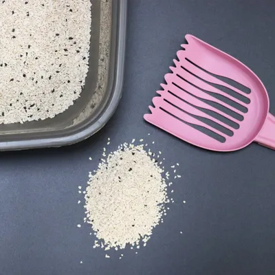 Bac à litière partiellement rempli de litière agglomérante beige avec grains noirs, pelle à litière en plastique rose et tas de litière renversé à côté du bac.