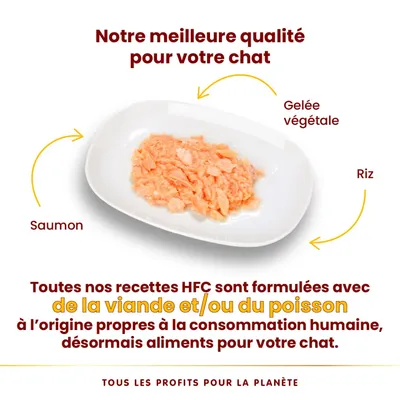 Saumon, gelée végétale et riz sur une assiette. Texte : recettes HFC formulées avec viande et/ou poisson propres à la consommation humaine, désormais aliments pour chat.