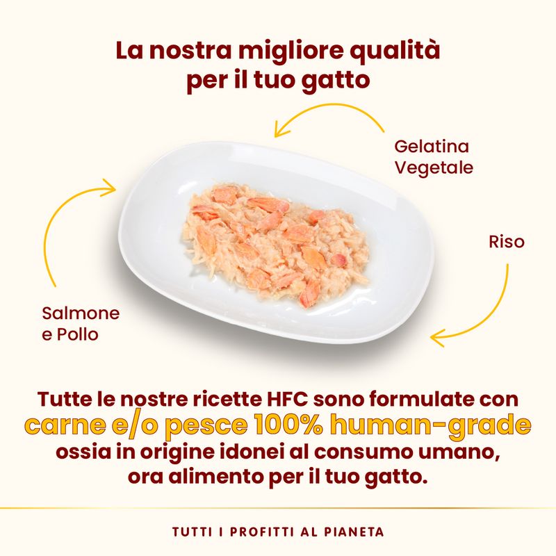 Almo Nature HFC Natural 12 x 70 g umido gatto