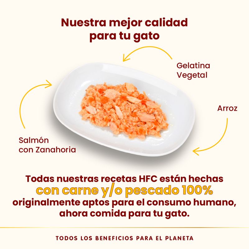 Pack Ahorro Almo Nature HFC 24 x 70 g