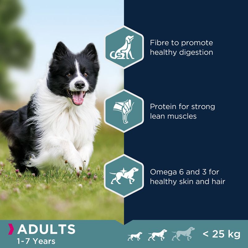 Eukanuba Adult Small & Medium Breed Lamb & Rice