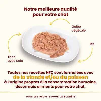 Assiette de nourriture pour chat avec thon, sole, riz et gelée végétale. Texte : recettes HFC formulées avec viande et/ou poisson propres à la consommation humaine, désormais aliments pour chat.
