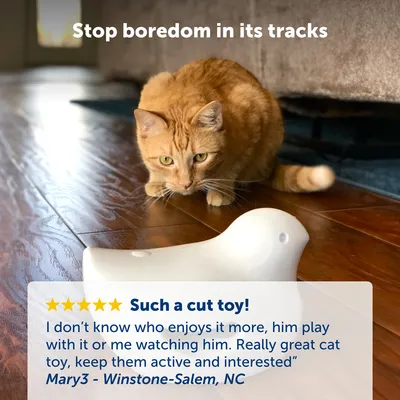 Texte en anglais : « Stop boredom in its tracks ». Avis client avec 5 étoiles : « Such a cut toy! » et commentaire en anglais de Mary3 – Winstone-Salem, NC.