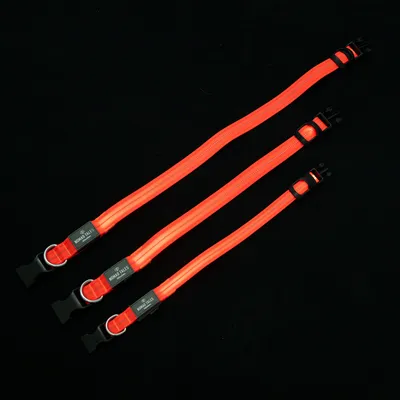 Trois colliers pour chien HOUND TALES orange fluo avec boucle en plastique noir et anneau métallique, présentés côte à côte pour comparaison de tailles.