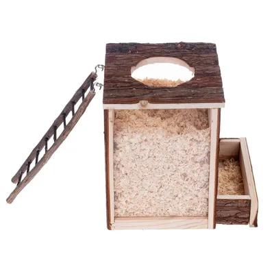 Bac à rongeurs en bois avec couvercle troué, échelle latérale et tiroir rempli de copeaux de bois visibles. Matériau : bois brut.