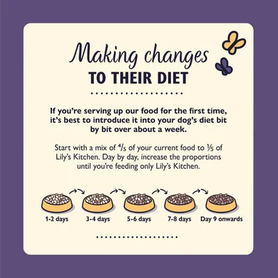 Feeding guide showing how to gradually switch to Lily’s Kitchen food over a week, starting with mostly current food and increasing Lily’s Kitchen until fully switched by day 9.