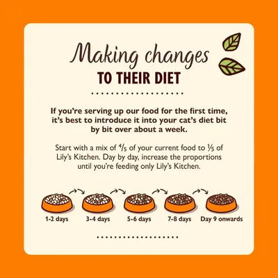 Feeding guide showing how to gradually switch food over a week: start with mostly current food, increase new food daily, until only new food is served from day 9 onwards.