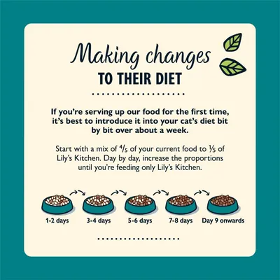 Feeding guide showing how to gradually switch to Lily’s Kitchen food over about a week, starting with mostly current food and increasing Lily’s Kitchen until fully switched by day 9.