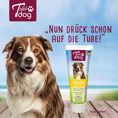 TubiDog Käsecreme mit Karotten und Kürbis, ohne Zucker & Getreide, lebensmittelechte Rohstoffe. Text: 'Nun drück schon auf die Tube!'. HansePet Logo sichtbar.