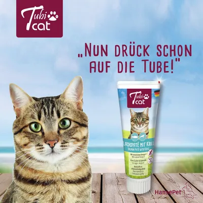 TubiCat Lachspaté mit Krill. Mit natürlichen Omega-3-Fettsäuren, ohne Zucker & Getreide, lebensmittelechte Qualität. Slogan: 'Nun drück schon auf die Tube!'.