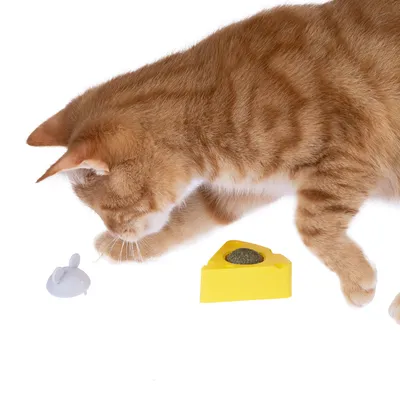 Rote Katze spielt mit gelbem Katzenspielzeug in Käseform und weisser Spielzeugmaus.