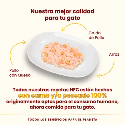 Pack Ahorro Almo Nature HFC 24 x 70 g