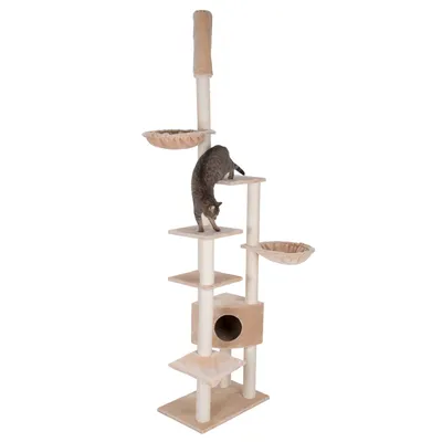 Kratzbaum mit mehreren Ebenen, Höhle und Liegeflächen. Katze klettert auf einer der Plattformen.